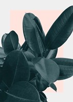 Tonight Fine Art Print