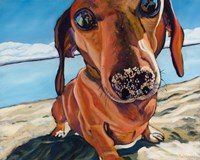 Sand Dog Fine Art Print