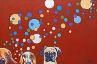 When Dogs Drink Fine Art Print