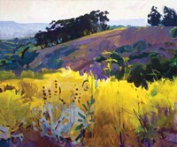 Late Sun, Eucalyptus on the Ridge Fine Art Print