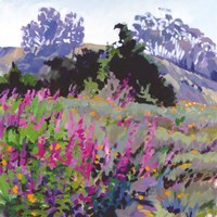 Spring Haze, Eucalyptus on the Ridge Fine Art Print