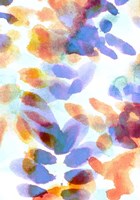 Bloom Indigo Fine Art Print