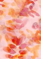 Bloom Rose Fine Art Print