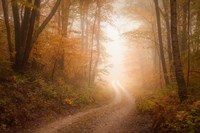 Familiar Dream Fine Art Print