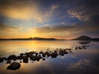 Glass Fine Art Print