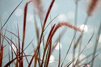 By the Chicago River No. 3 Fine Art Print