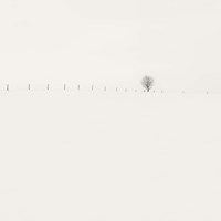 Frozen Landscape Fine Art Print