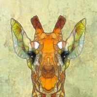 Abstract Giraffe Calf Fine Art Print