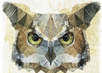 Abstract Owl Fine Art Print