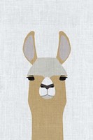 Llama Fine Art Print