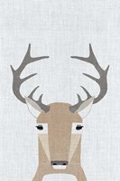 Whitetail Deer Fine Art Print