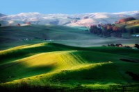 Day in August Fine Art Print