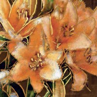 Apricot Dream I Fine Art Print