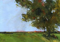 Autumn Oak and Empty Fields Fine Art Print
