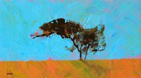 Desert Tree Fine Art Print
