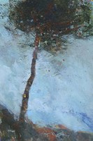 Lone Moorland Pine Fine Art Print