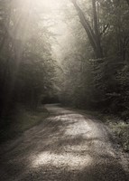 Back Country Road Fine Art Print