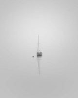 Companions Fine Art Print