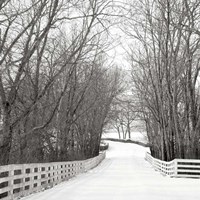Country Lane in Winter Fine Art Print