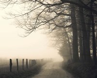 Hyatt Lane Fine Art Print