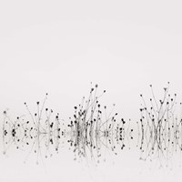 Reflections Fine Art Print