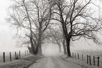 Sparks Lane, Late Autumn Fine Art Print