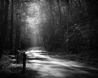Tremont Road, Smoky Mountains Fine Art Print
