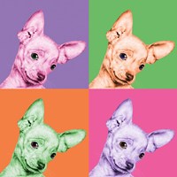 Sweet Chihuahua Pop Fine Art Print