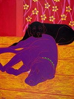 Let Sleeping Dogs Lie Fine Art Print