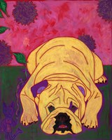 Lounge Lizard Fine Art Print