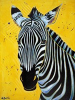 Zebra Fine Art Print