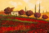 Papaveri Toscana II Fine Art Print