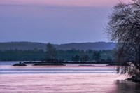 Evening on the Bay Fine Art Print
