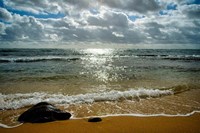 Last Step Fine Art Print