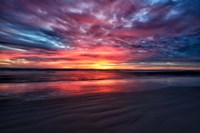 Nature's Palette Fine Art Print