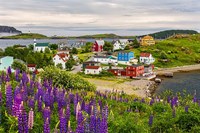 Outport Fine Art Print