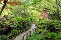 Stairway to Paradise Fine Art Print