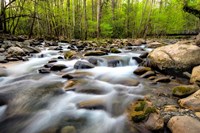 Below the Bridge Fine Art Print