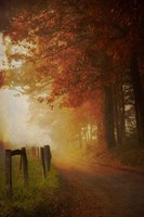 Come to the Light Fine Art Print