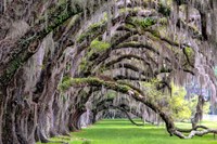 Hanging to the Right Fine Art Print