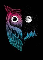 Night Owl Fine Art Print