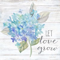 Farmhouse Hydrangea II Fine Art Print