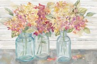 Farmhouse Hydrangeas in Mason Jars Spice Fine Art Print