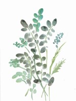 Farmhouse Botanical I Fine Art Print