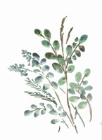 Farmhouse Botanicals II Fine Art Print