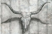 Longhorn Fine Art Print