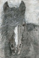 Horse in the Wind Fine Art Print