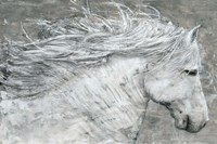 Wild Horse Fine Art Print