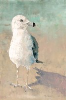 Beach Bird Fine Art Print