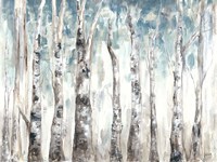 Winter Aspen Trunks Blue Fine Art Print
